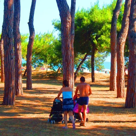 Torre Cerrano פינטו